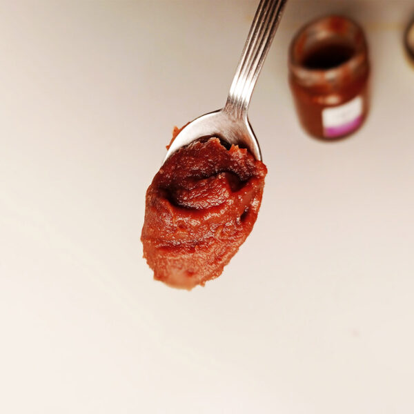 Crema castagne e cacao al cucchiaio