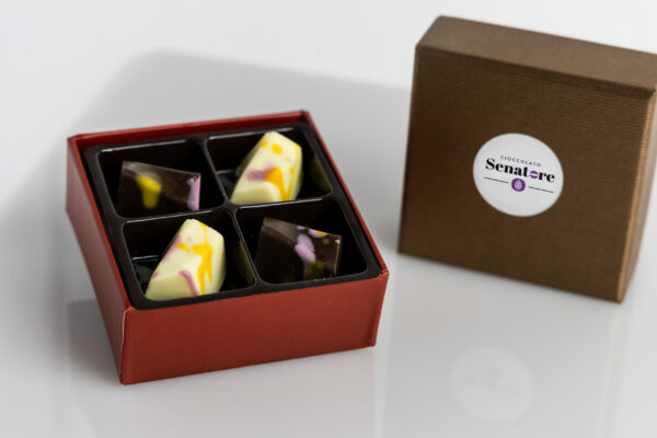 QUADRO DI CIOCCOLATINI TRASPARENTE