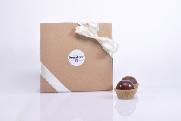 25 CIOCCOLATINI BIO