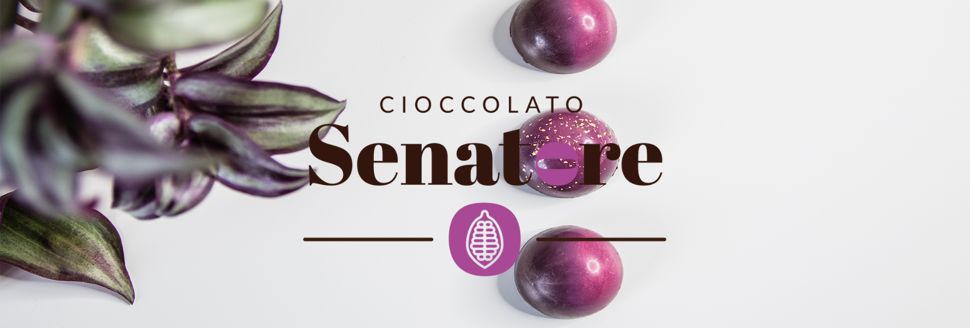 Progetto senza titolo (4)